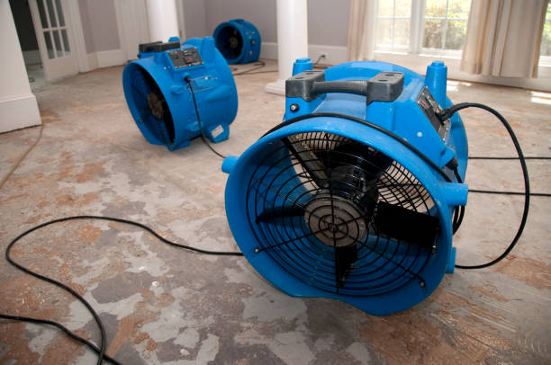 Best Mold removal after water damage  in Baker, MT