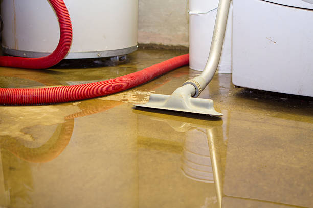 Best Water damage repair service  in Baker, MT