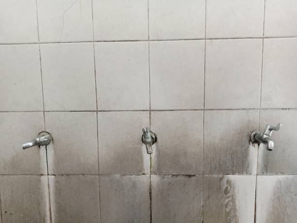 Best Ceiling water damage repair  in Baker, MT