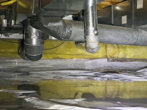 Best Sewage cleanup and water damage restoration  in Baker, MT