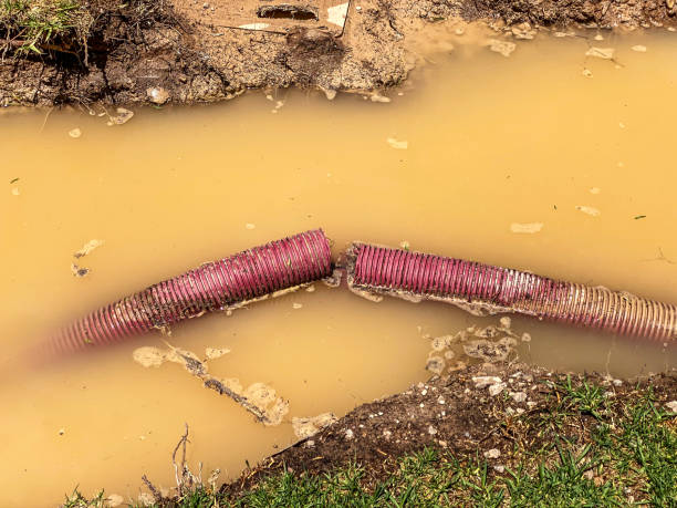 Best Flood damage cleanup  in Baker, MT