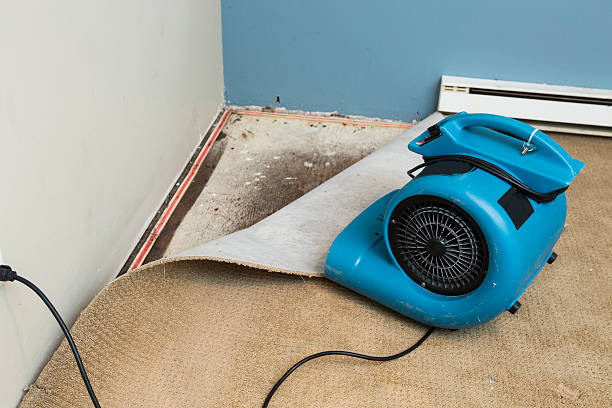 Best 24/7 water damage repair  in Baker, MT
